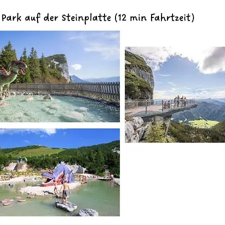 Grosse Schoene Mansardenwohnung Mit 2 Balkonen * Lofer