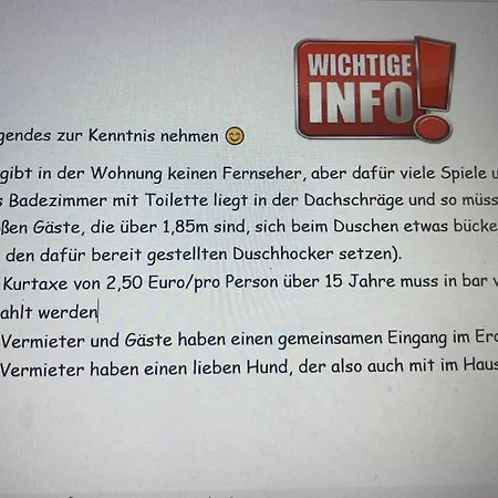 Grosse Schoene Mansardenwohnung Mit 2 Balkonen Lofer